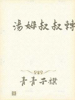 汤姆叔叔转接口