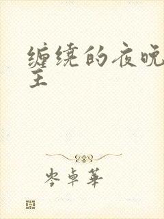 缠绕的夜晚双男主