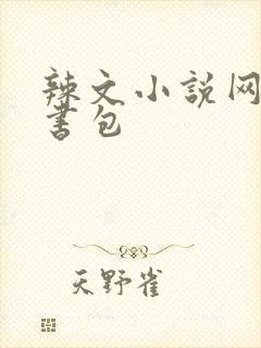 辣文小说网第二书包