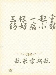 三根一起会坏掉的好痛小说