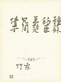 借兄弟的种生孩子周楚臣苏糖