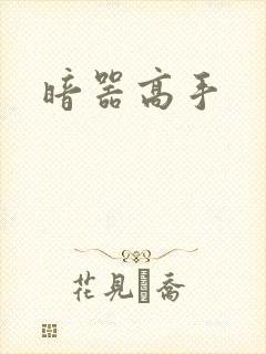 暗器高手