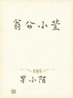 翁公小莹