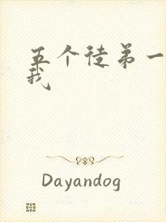 五个徒弟一起C我