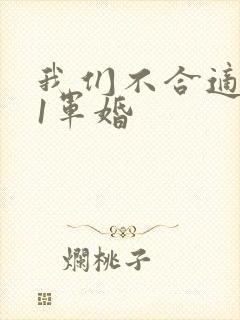 我们不合适1v1军婚