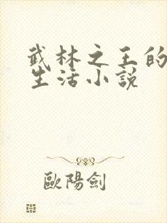 武林之王的退隐生活小说