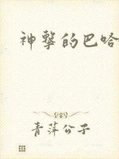 神击的巴哈姆特