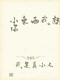 小东西我想弄坏你