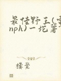最佳野王(电竞nph)一坨薯饼
