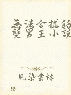 无法合拢的总裁双男主小说