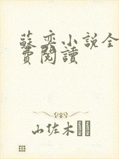 苏奕小说全文免费阅读