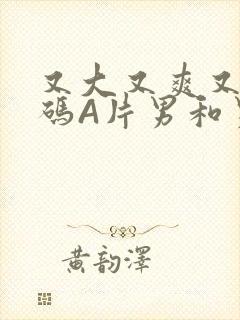 又大又爽又黄无码A片男和男