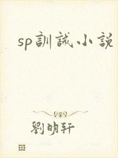 sp训诫小说