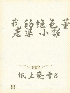 我的绝色董事长老婆 小说