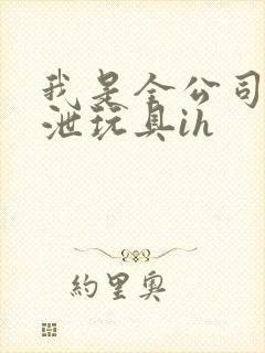 我是全公司的发泄玩具ih