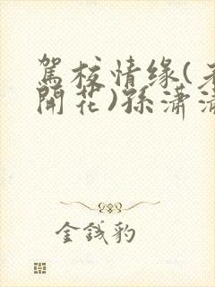 驾校情缘(老树开花)孙潇潇笔趣阁