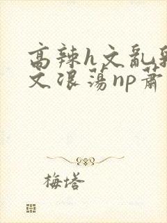 高辣h文乱乳h文浪荡np萧太后