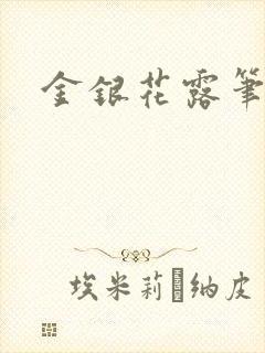 金银花露笔趣阁