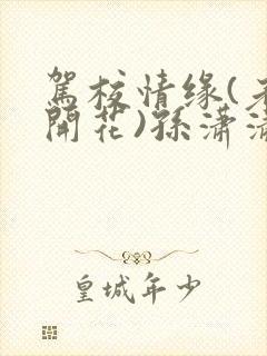 驾校情缘(老树开花)孙潇潇笔趣阁