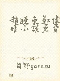 赵晓东郑伟吴雪晴小说免费阅读