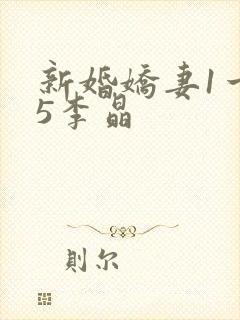新婚娇妻1一25李晶