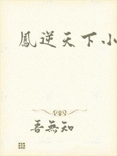 凤逆天下小说
