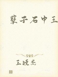 孽子石中玉