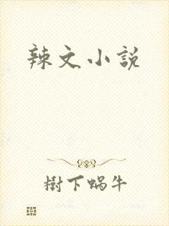 辣文小说
