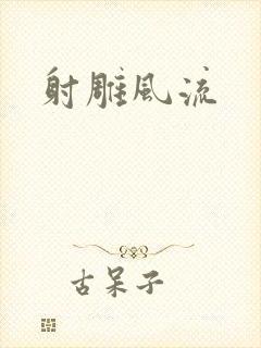 射雕风流