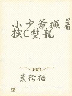 小少爷撅着屁股挨C双龙