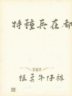 特种兵在都市