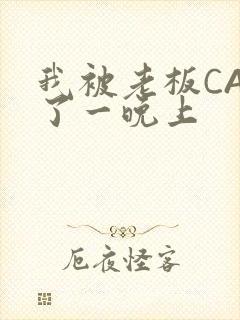 我被老板CAO了一晚上