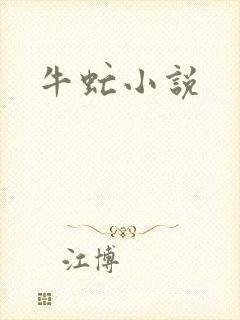 牛虻小说