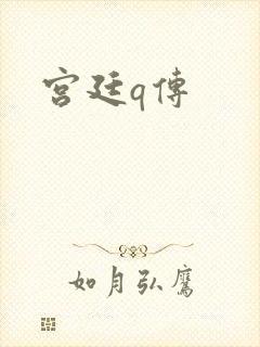宫廷q传