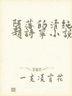 堕落的清纯校花赵诗宁小说阅读