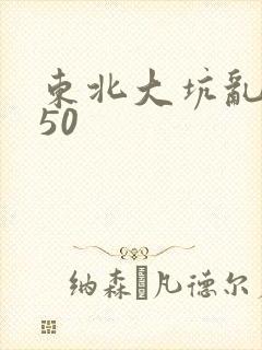 东北大坑乱1—50