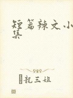 短篇辣文小说合集