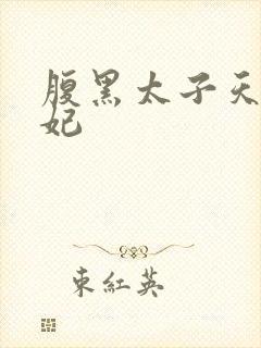 腹黑太子天降萌妃