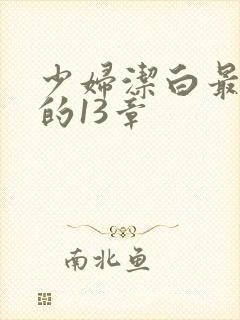 少妇洁白最刺激的13章