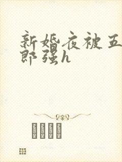 新婚夜被五个伴郎强h