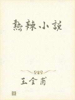 热辣小说