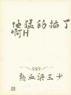 他猛的插了进去啊H