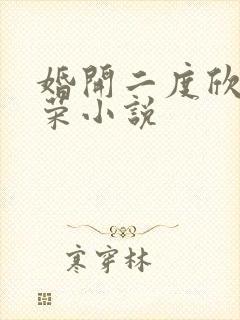 婚开二度欣欣向荣小说