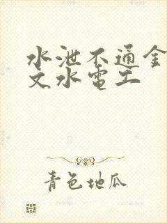 水泄不通金银原文水电工