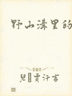 野山沟里的村庄