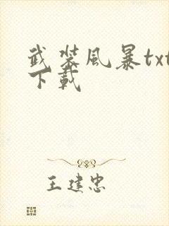 武装风暴txt下载