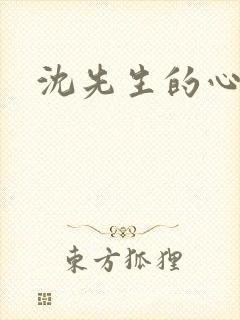 沈先生的心头宝