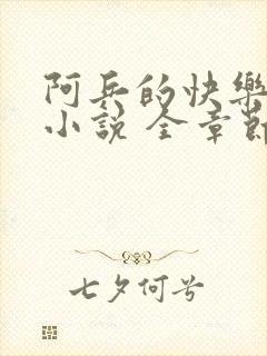 阿兵的快乐生活小说 全章节阅读免费