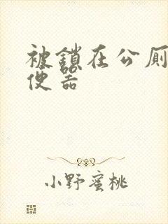 被锁在公厕当坐便器