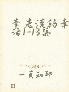 李老汉的幸福生活1-13集